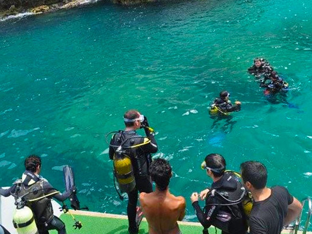 Bodrum Diving Tour