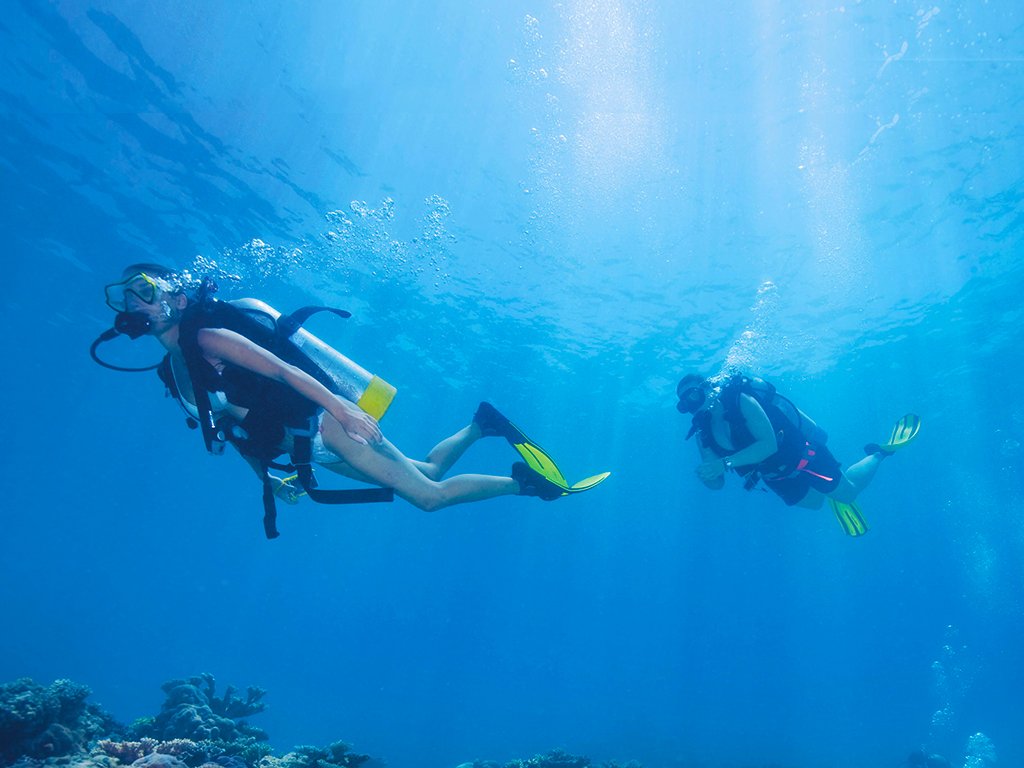 Bodrum Diving Tour