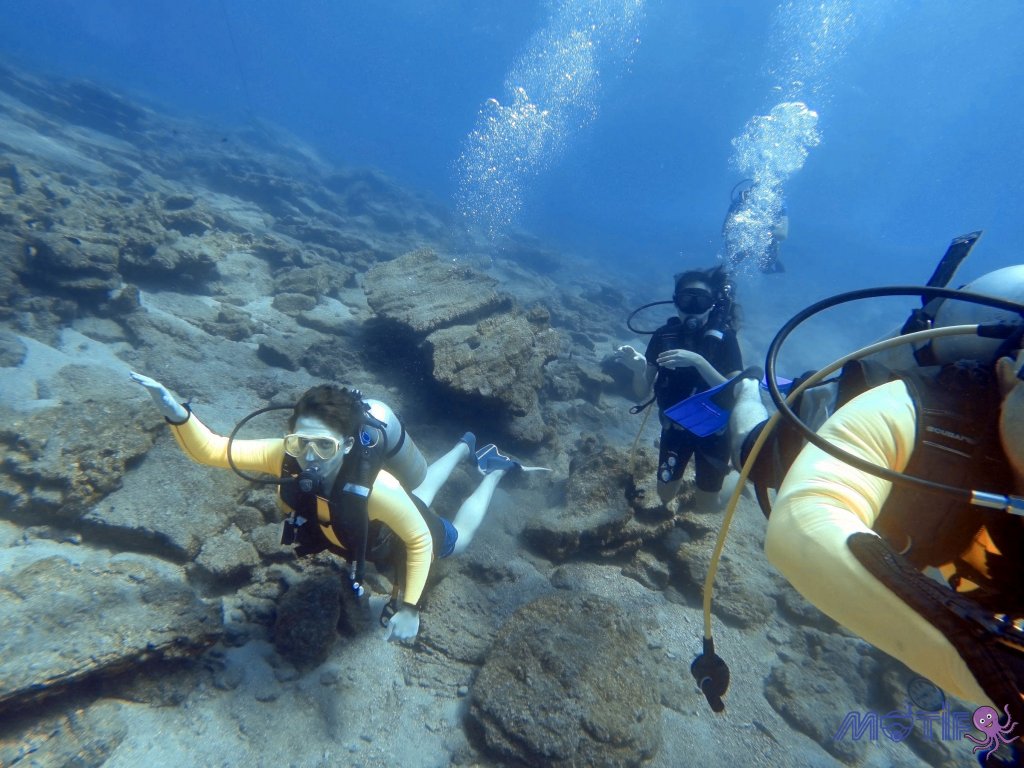 Bodrum Diving Tour